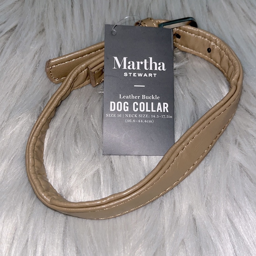 Martha Stewart Leather Buckle Dog Collar